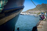 Een dagelijks tafereel in de haven van Hout bay, de visserman voert de zeehonden