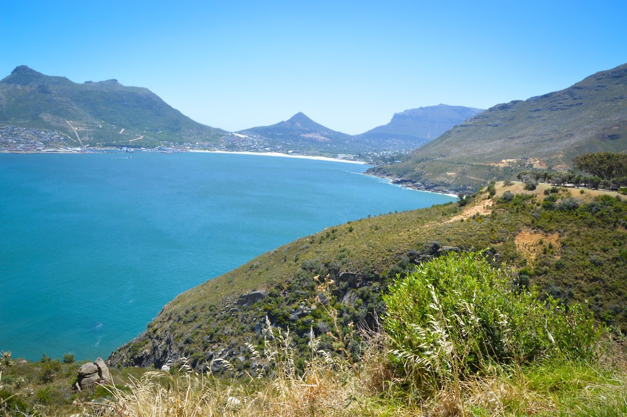 Chapman's peak