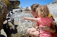 Boulders beach