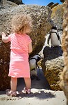 Boulders beach