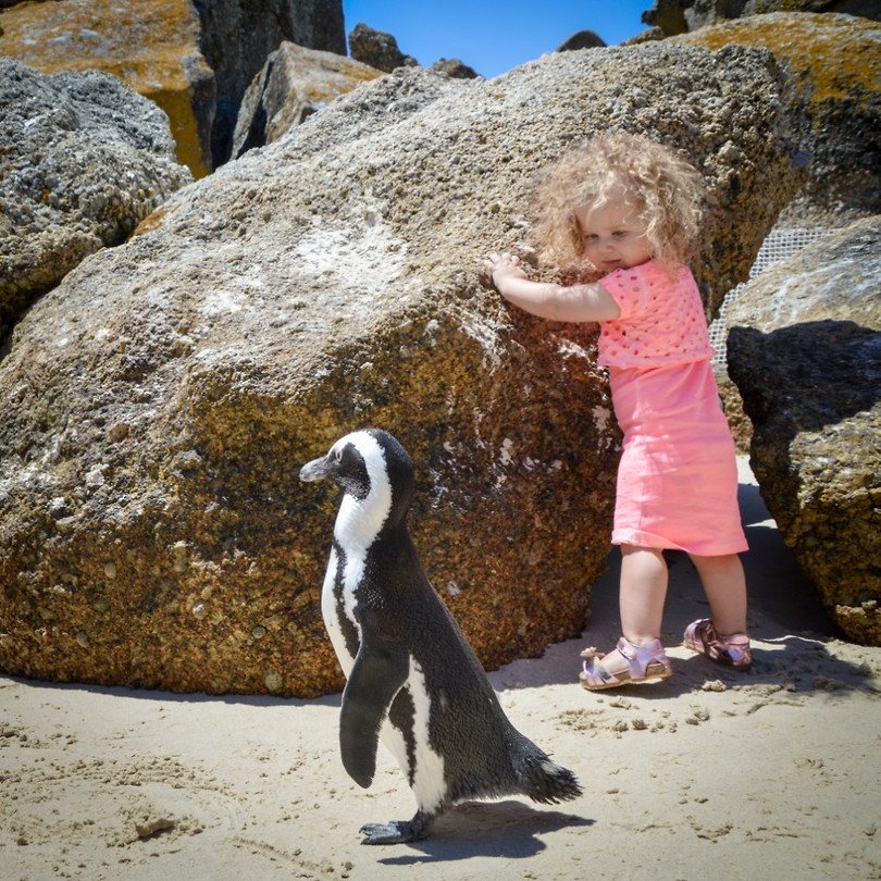 Boulders beach