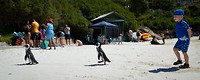 Boulders beach
