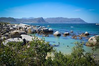 Boulders beach