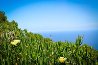 Cape point