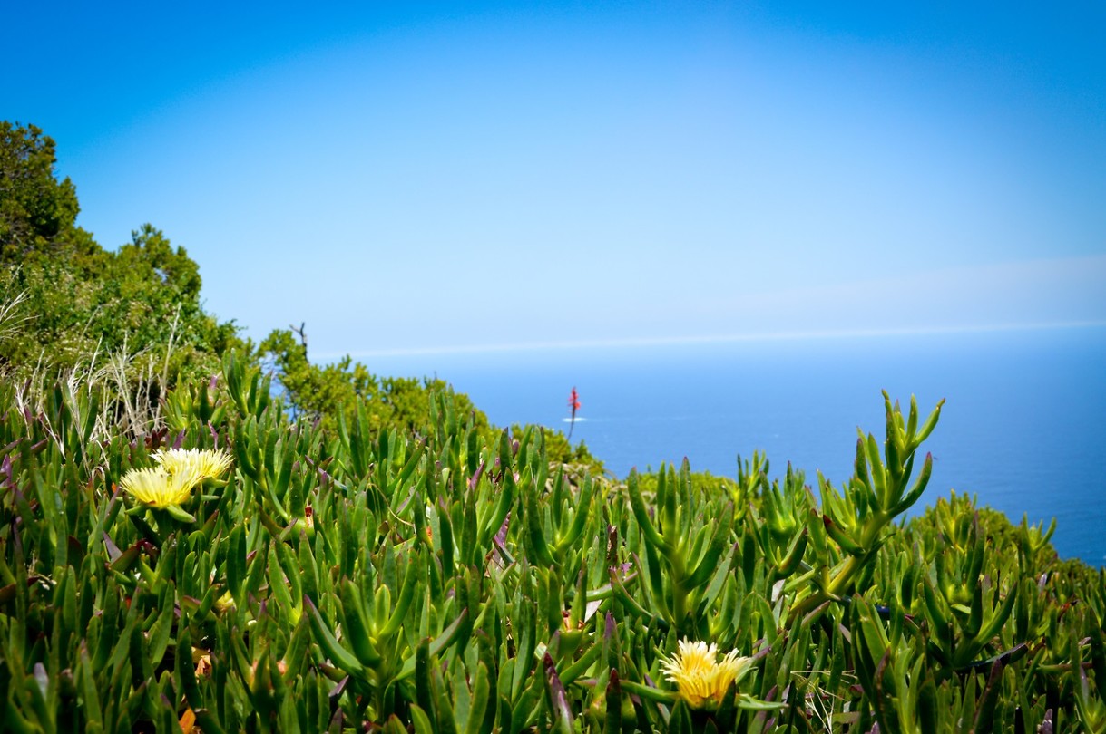 Cape point