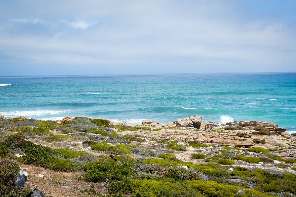 Table Mountain National Park