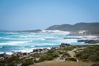 Table Mountain National Park