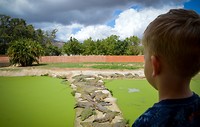 Le Bonheur Crocodile Farm