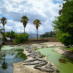 Le Bonheur Crocodile Farm