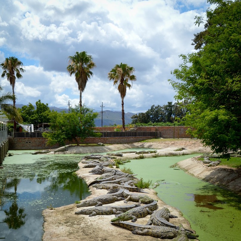 Le Bonheur  Crocodile Farm