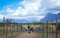 Drakenstein Lion Park Sanctuary