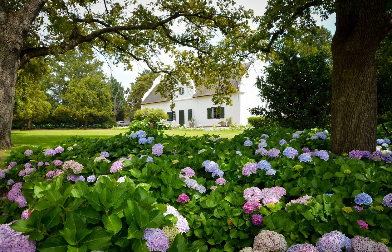 Boschendal