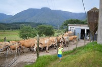 De boerderij naast ons huisje