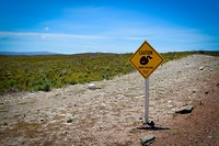 De Hoop Nature Reserve