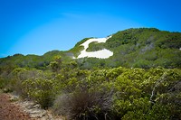 De Hoop Nature Reserve