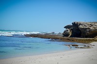 De Hoop Nature Reserve