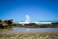 De Hoop Nature Reserve