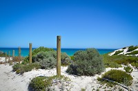 De Hoop Nature Reserve