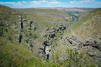 Tradouw Pass