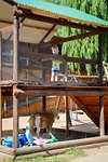 Pony's in de speeltuin