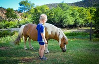 Pony's in de speeltuin