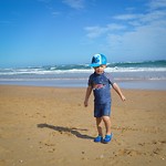 Wilderness beach