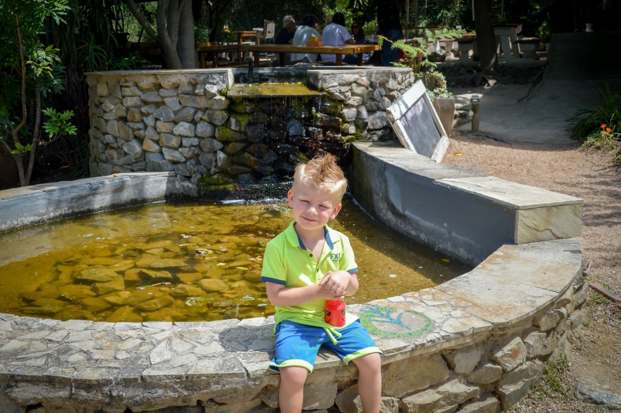 Timberlake organic food village