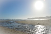 Wilderness beach
