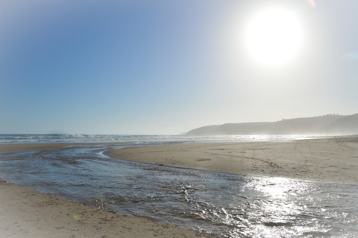 Wilderness beach