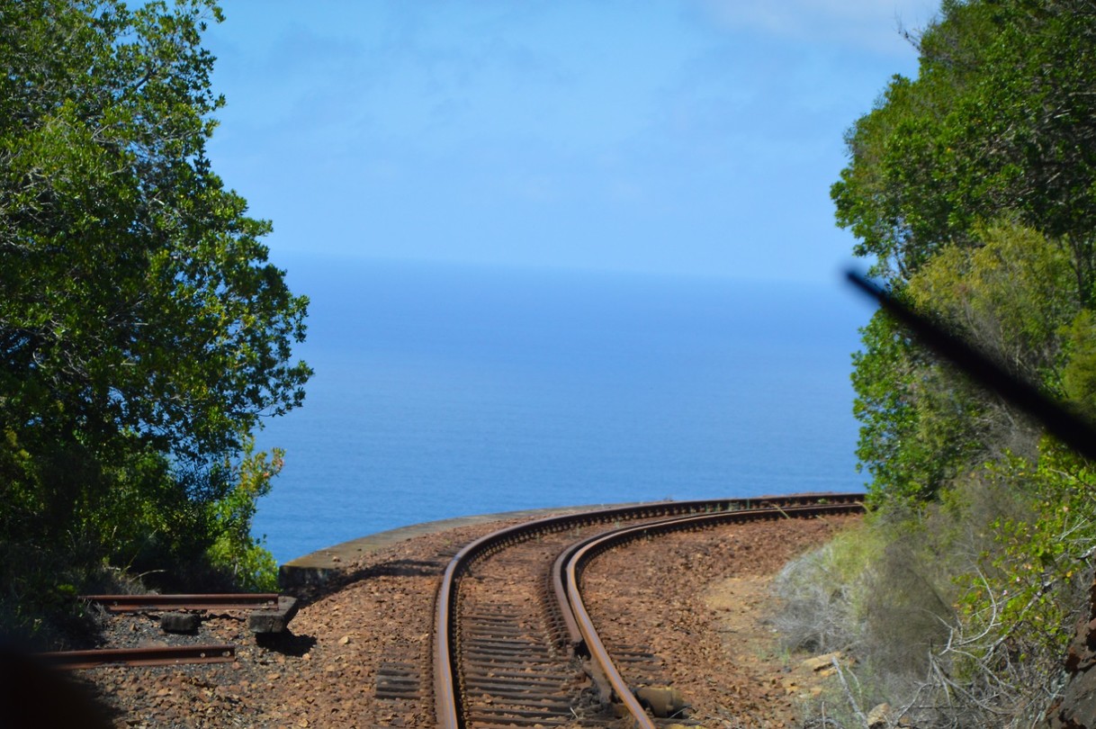 Uitzicht vanuit de trein