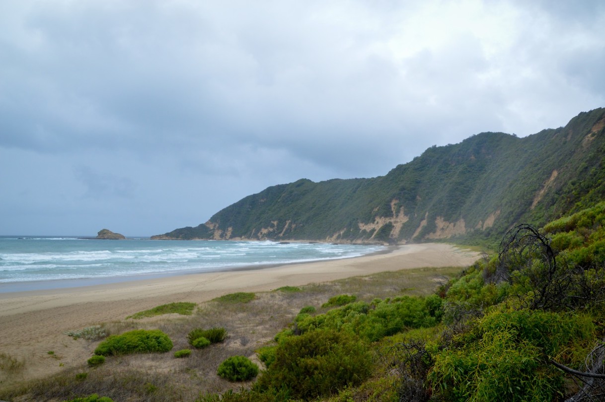 Gerickes Point Sedgefield