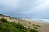 Gerickes Point Sedgefield