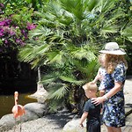 Birds of Eden