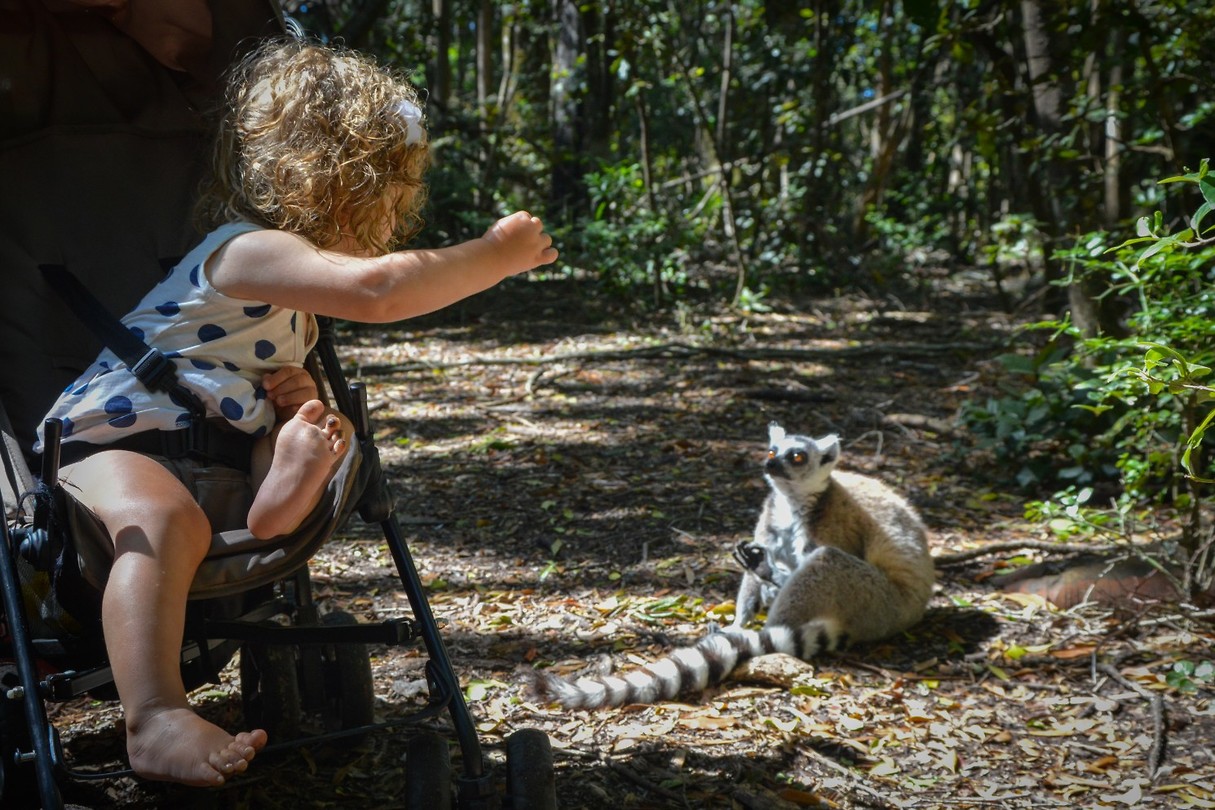 Monkeyland