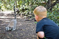 Monkeyland