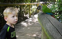 Birds of Eden