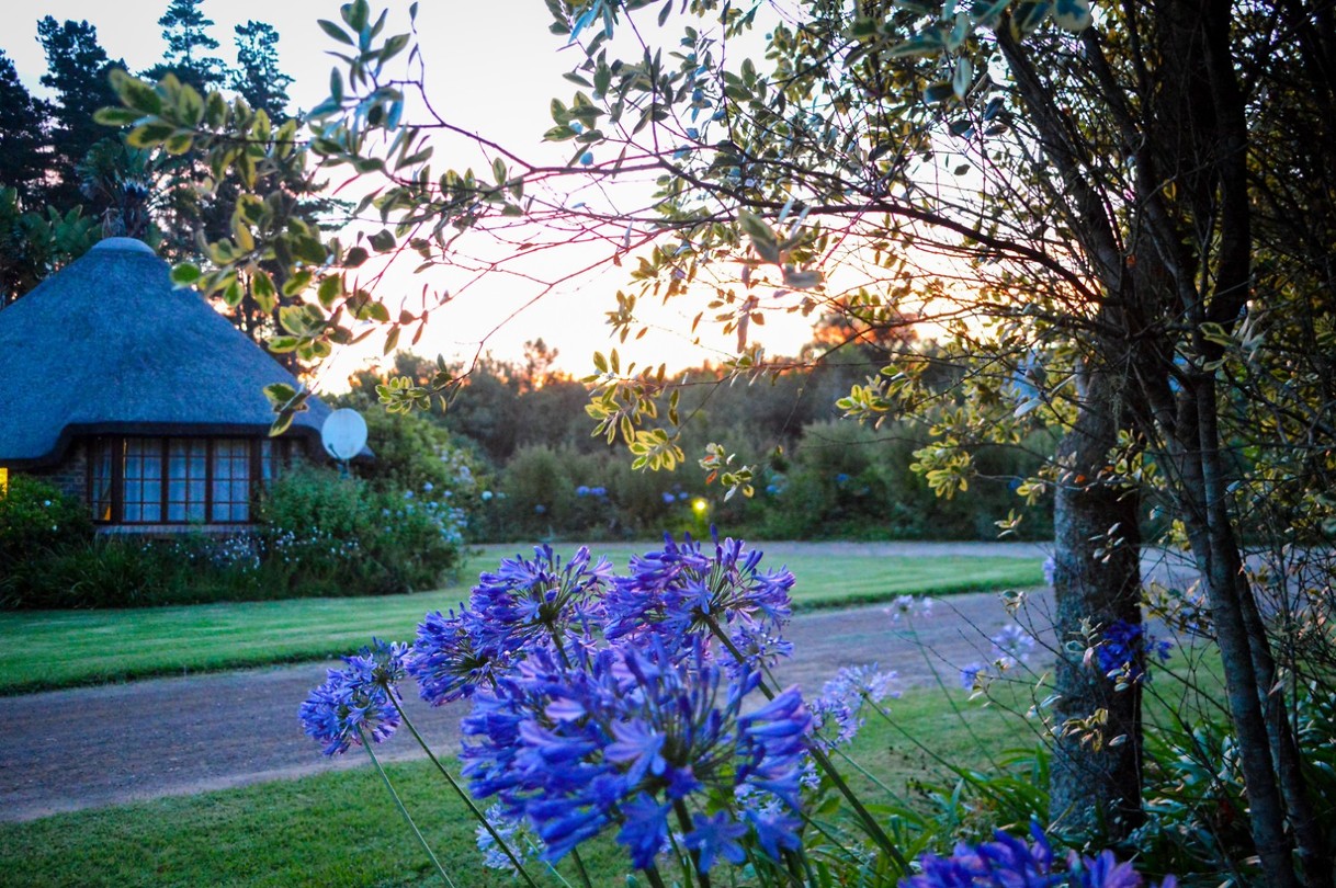 Zonsondergang bij Coral Tree Cottages