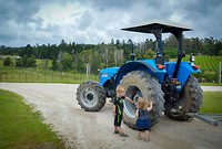 Knysna Elephant Park, de tractor onderzoeken die ons naar de olifanten brengt