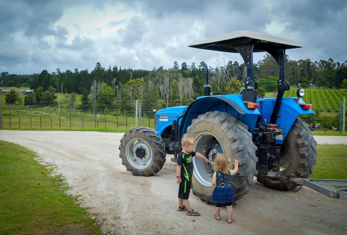 Knysna Elephant Park, de tractor onderzoeken die ons naar de olifanten brengt