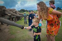 Knysna Elephant Park
