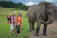Knysna Elephant Park