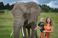 Knysna Elephant Park