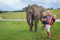 Knysna Elephant Park