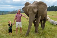 Knysna Elephant Park