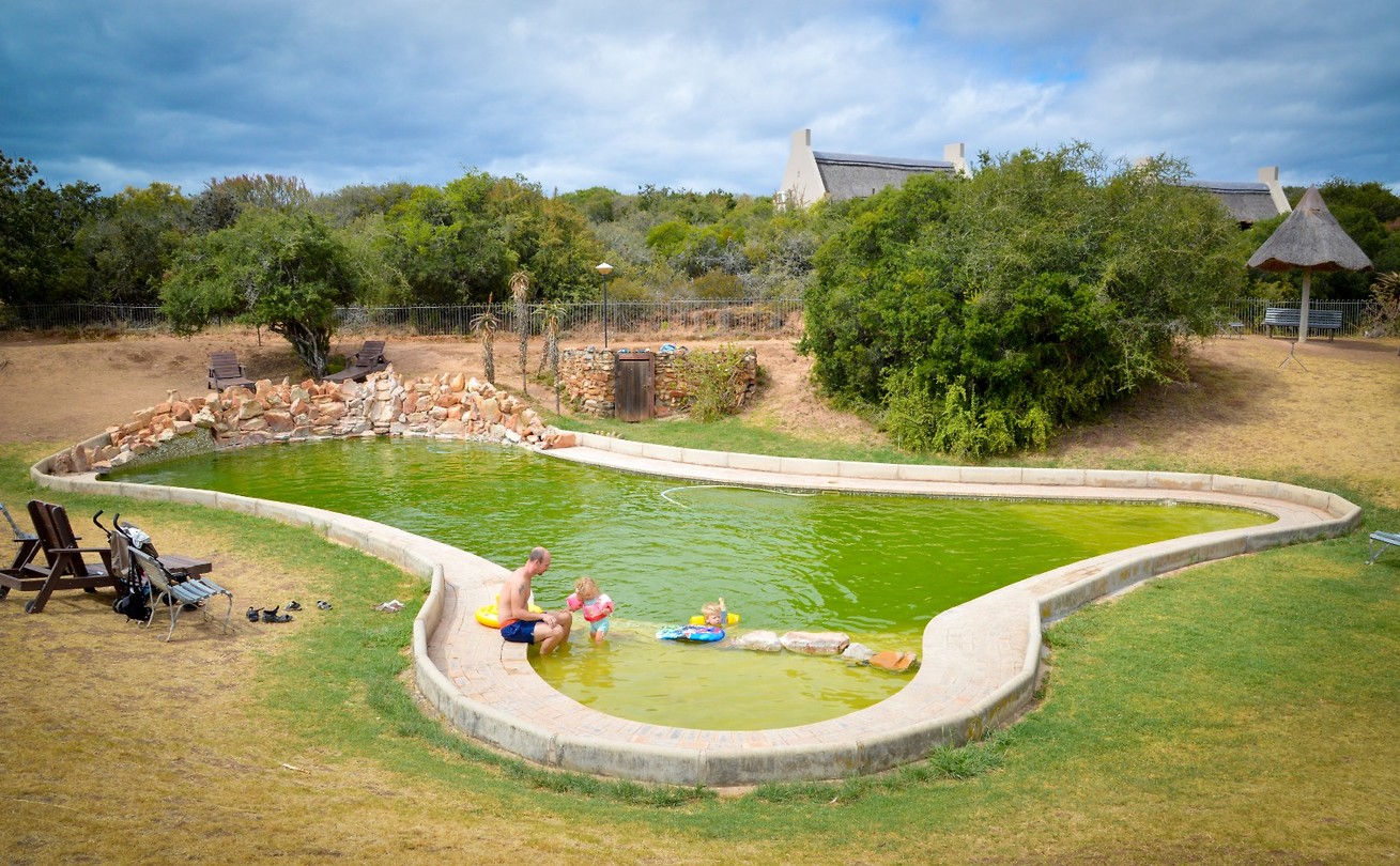 Het zwembad in Addo Elephant Park