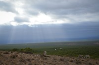 Donkere wolken boven de zebra's