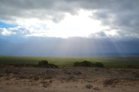 Donkere wolken boven Addo