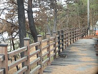 P5050129