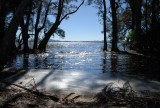Myall lakes national park