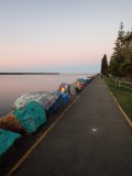 Boulevard in Port Macquarie